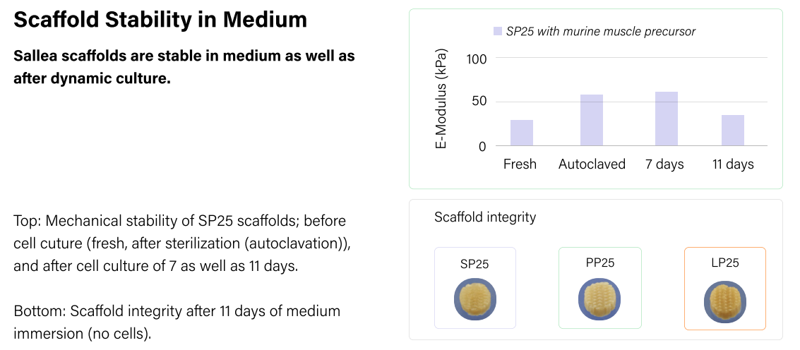Sallea ProteinPURE Starter Kit