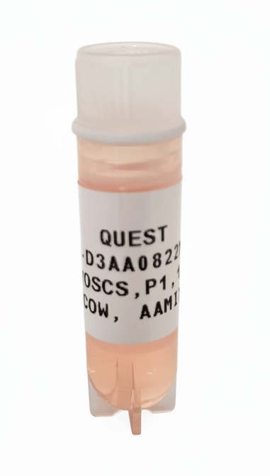 Quest Bovine Primary Cell Lines