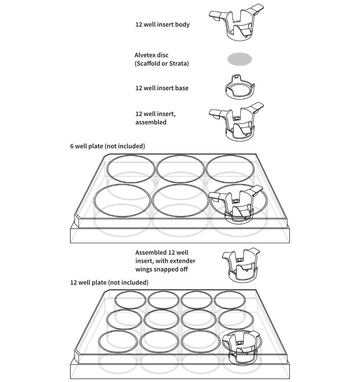 Alvetex® Strata 12ウェルインサート