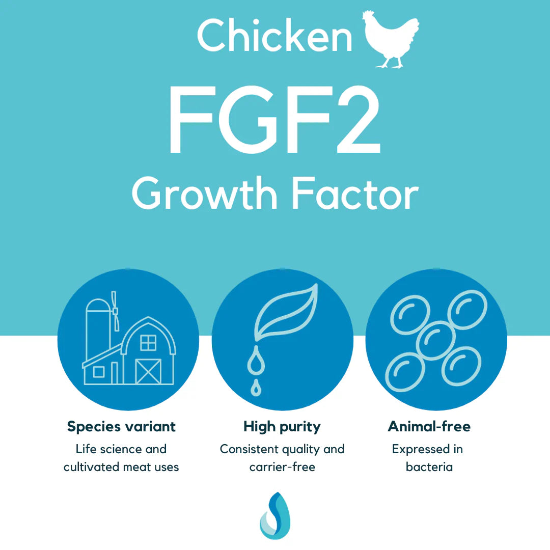 Defined Bioscience FGF2 Growth Factor (Chicken)