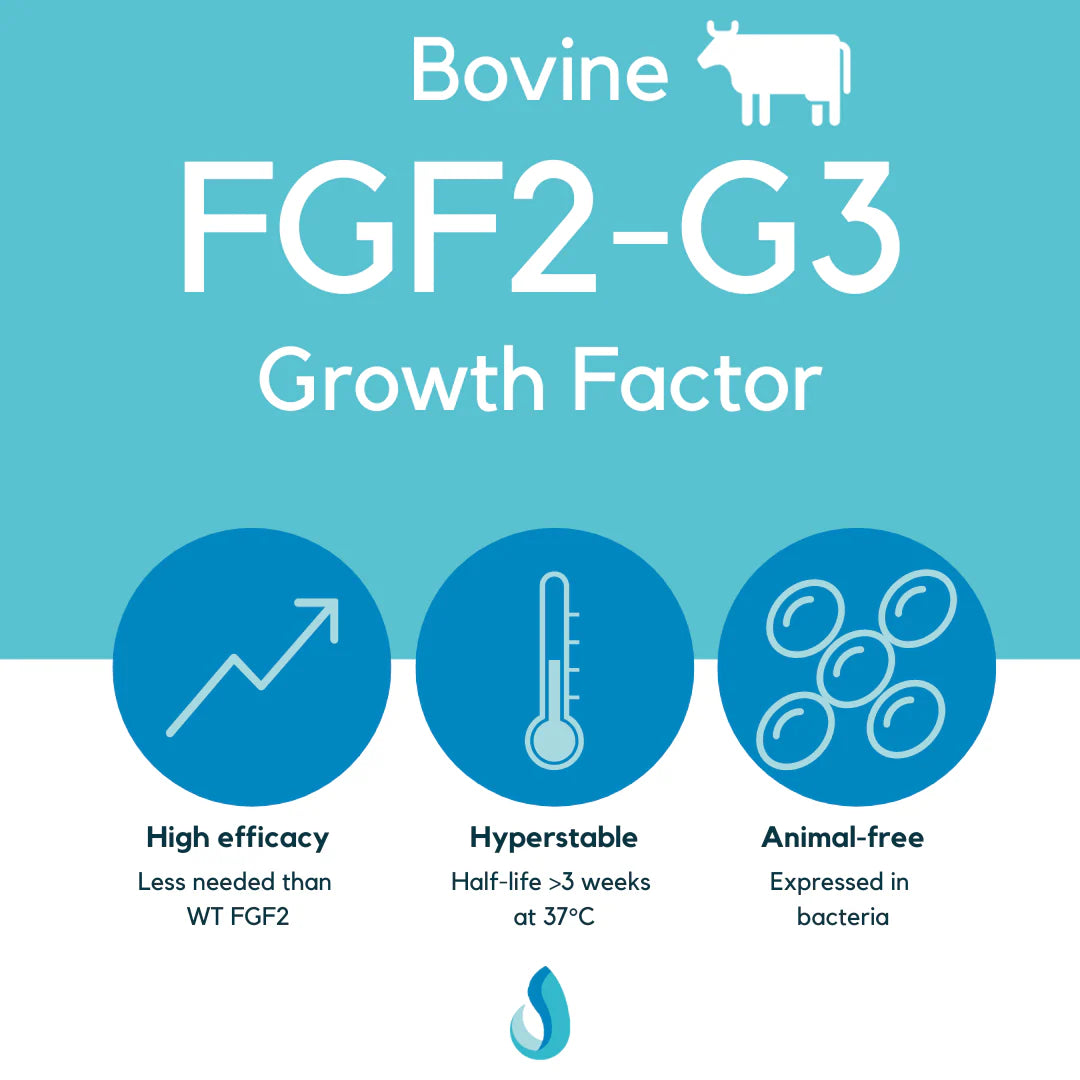 Defined Bioscience FGF2-G3 Growth Factor (Bovine)