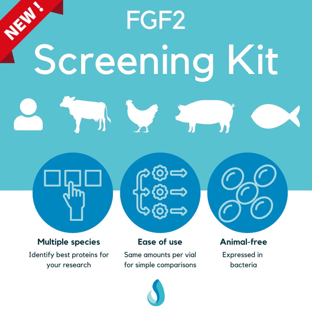 Defined Bioscience FGF2 Screening Kit