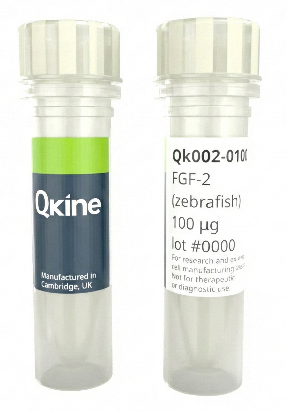 Qkine Recombinant Zebrafish FGF-2 Protein