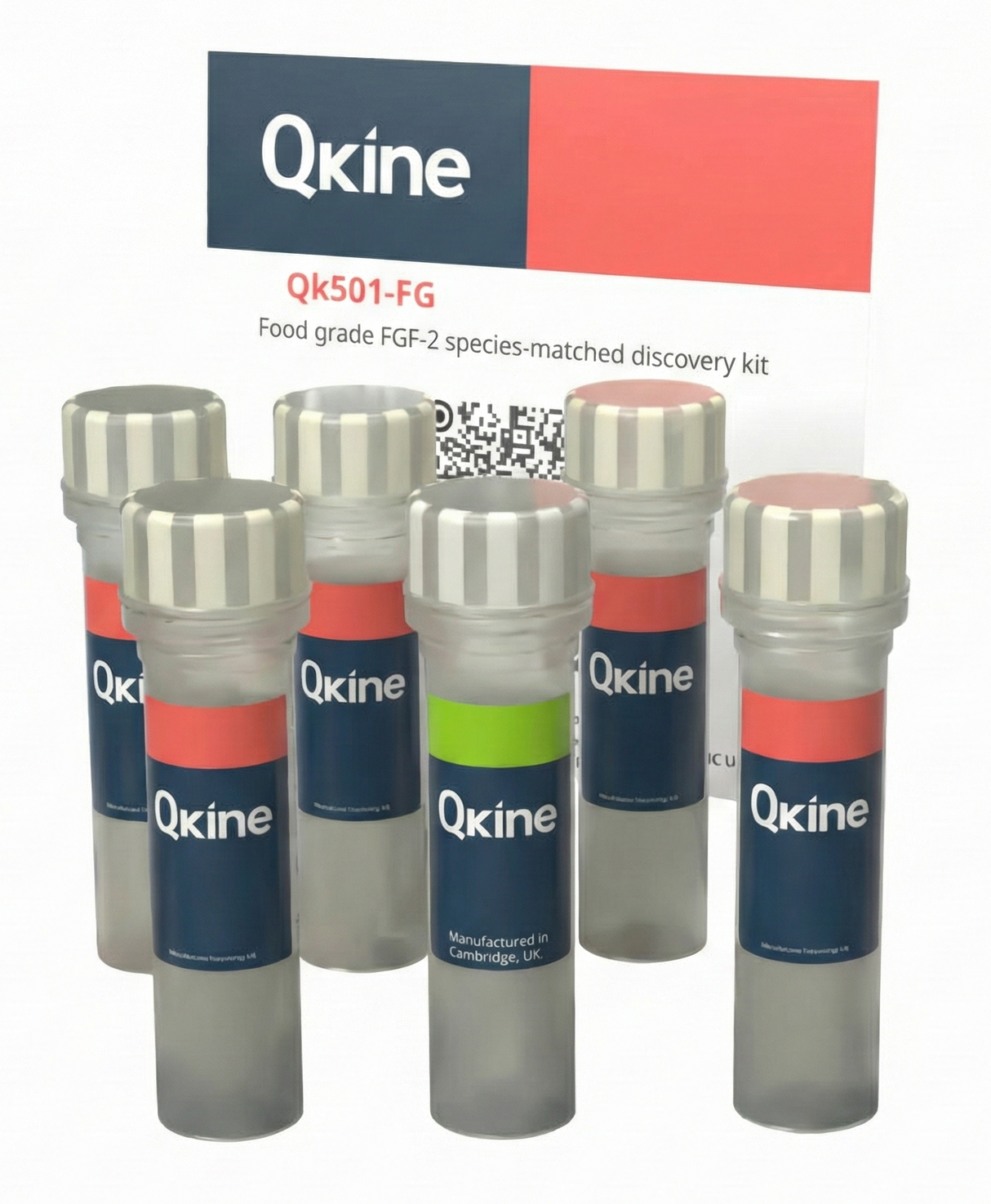 <tc>Qkine</tc> ชุดค้นหา FGF-2 เกรดอาหารที่ตรงกับสายพันธุ์