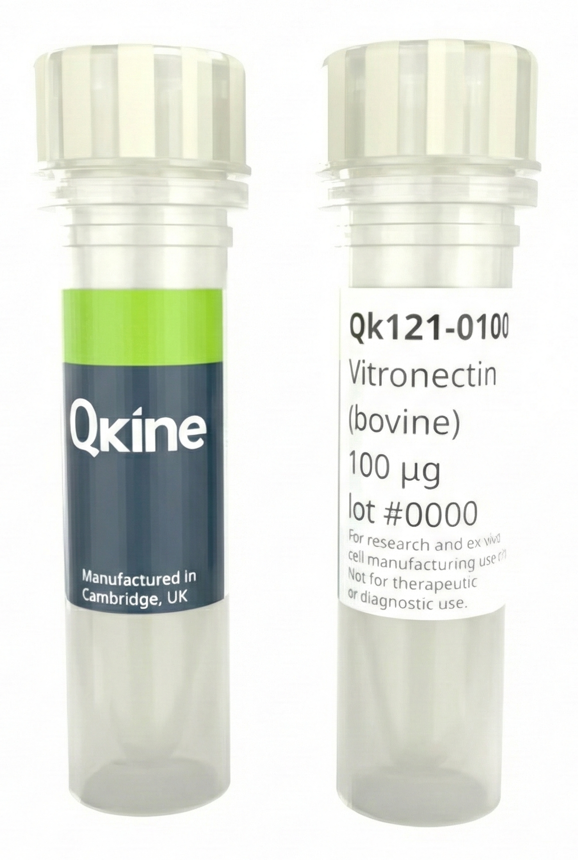 <tc>Qkine</tc> 再組換えウシビトロネクチンタンパク質