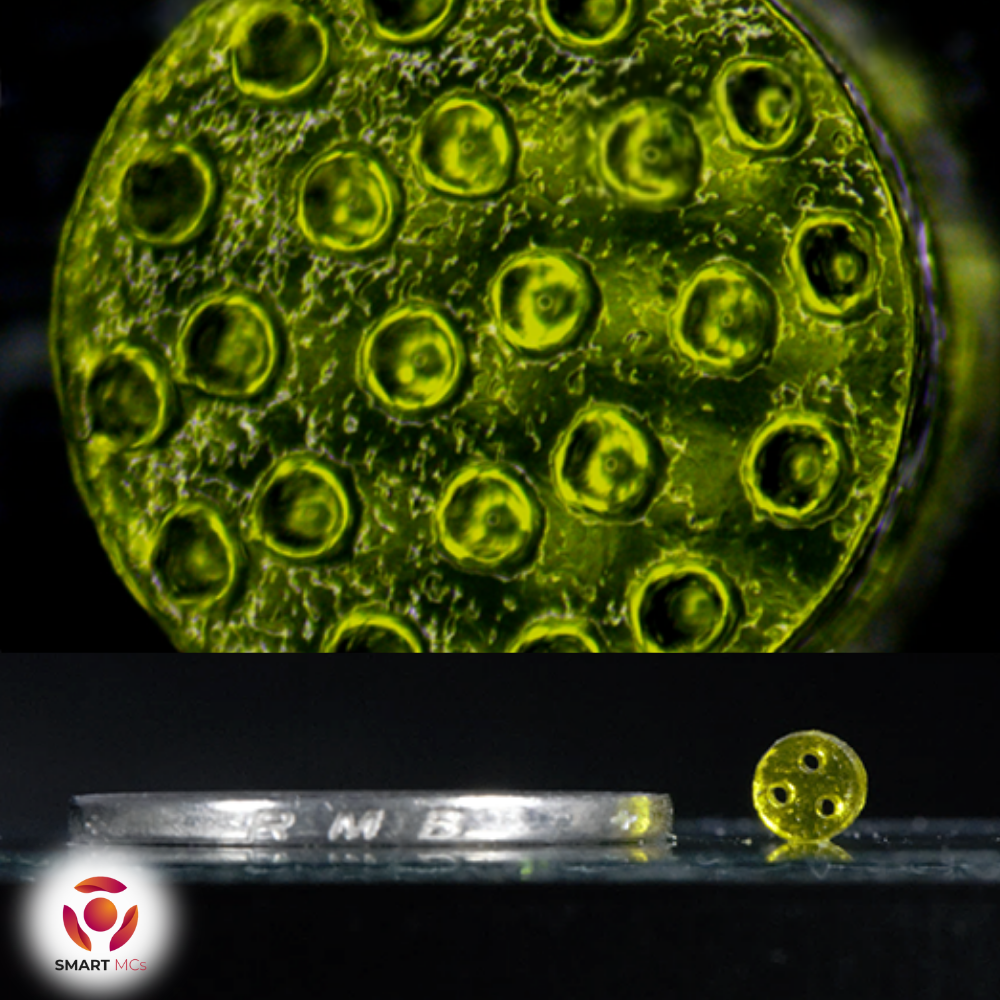 Smart MCs Hyaluronic Acid Methacryloyl (HAMA 150K)