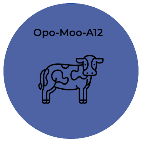 <tc>Opo Bio</tc> Sığır Angus Ön-Adipositleri