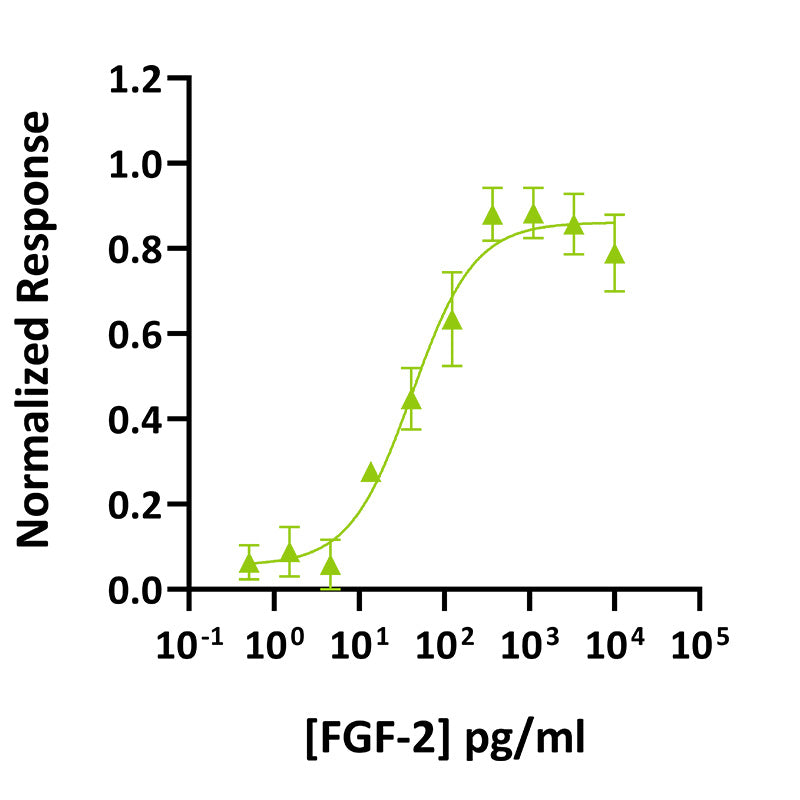 โปรตีน FGF-2 (145 กรดอะมิโน) รีคอมบิแนนท์จากวัว/หมู