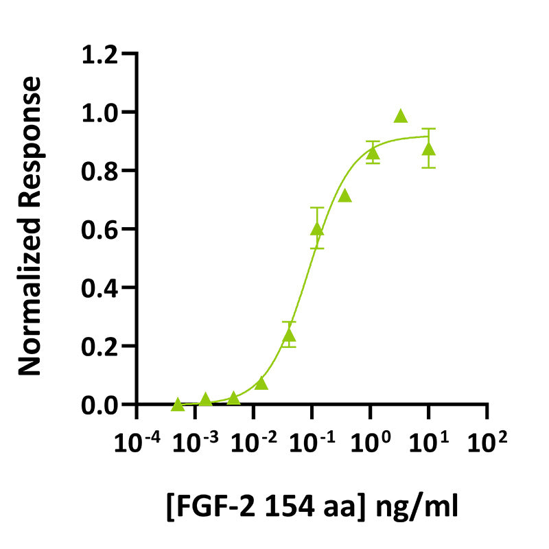 Qkine Recombinant Bovine/Porcine FGF-2 (154 Aa) Protein