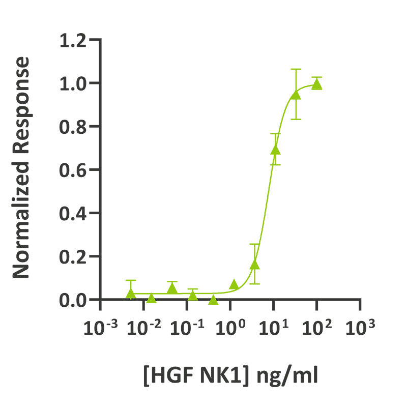 <tc>Qkine</tc> 再組換え豚HGF NK1タンパク質