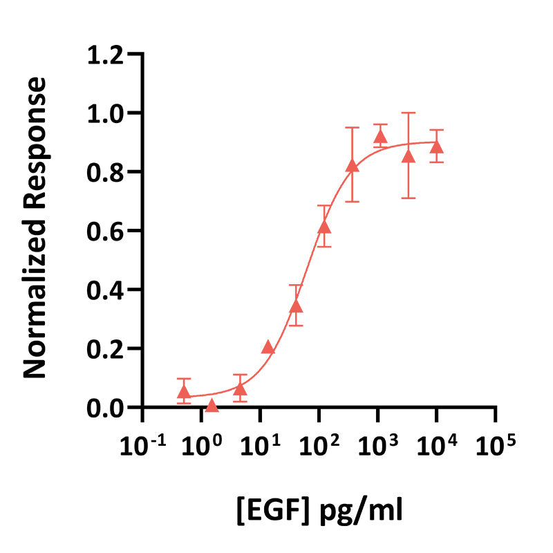 Qkine Recombinant Porcine EGF Protein