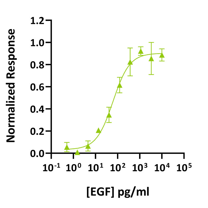 <tc>Qkine</tc> 再組換え豚EGFタンパク質