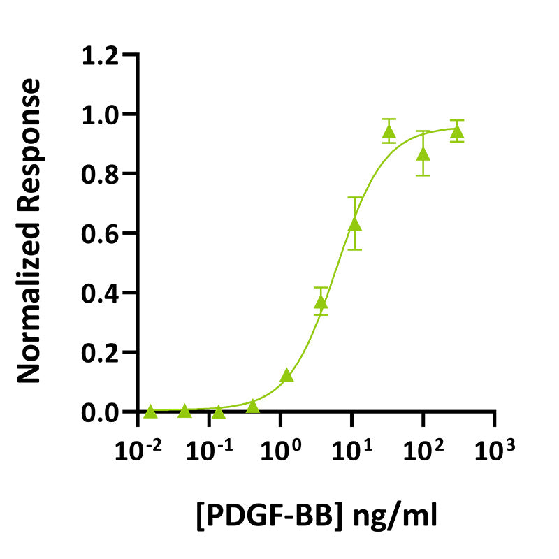 <tc>Qkine</tc> 再組換えウシPDGF-BBタンパク質