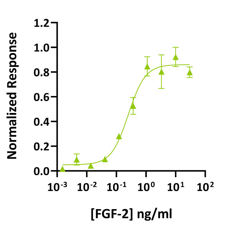 <tc>Qkine</tc> 再組換えマグロFGF-2(145 Aa)タンパク質