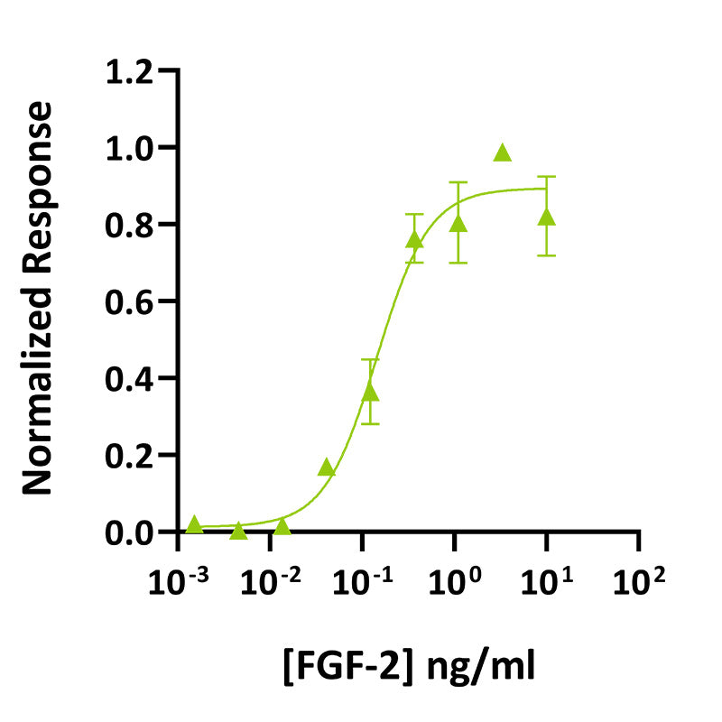<tc>Qkine</tc> Protein Rekombinan FGF-2 Belut (145 Aa)