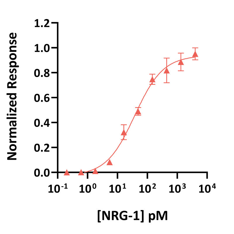 <tc>Qkine</tc> 再組換えウシ/ブタNRG-1タンパク質