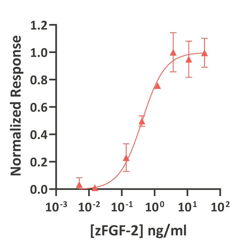 <tc>Qkine</tc> 再組換えゼブラフィッシュFGF-2タンパク質
