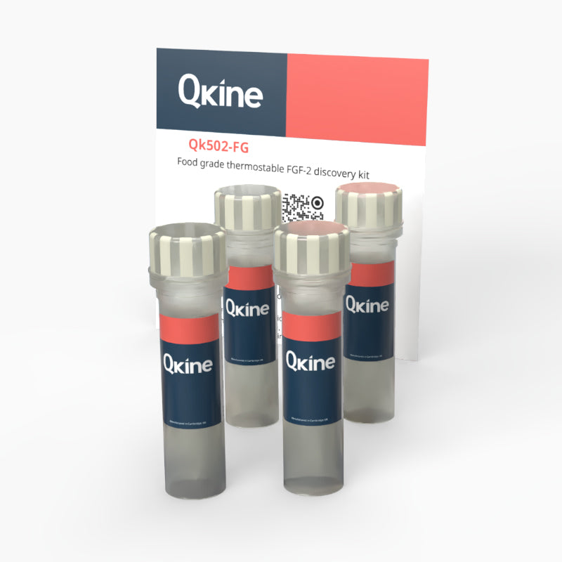 Qkine Food-grade Thermostable FGF-2 Discovery Kit