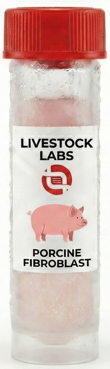 Livestock Labs Porcine Fibroblasts