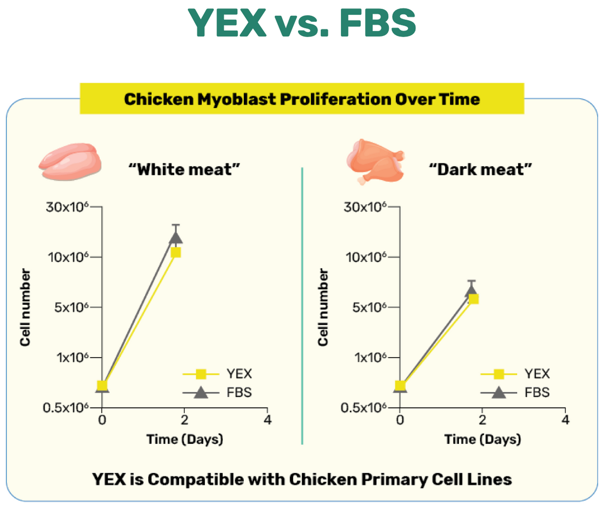 YEX™ Cell Culture Growth Medium