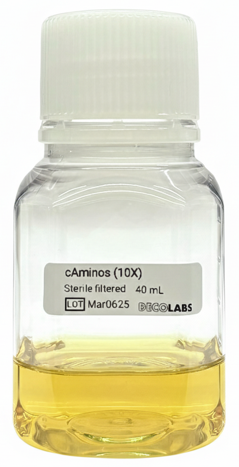 <tc>Deco Labs</tc> cAminos™