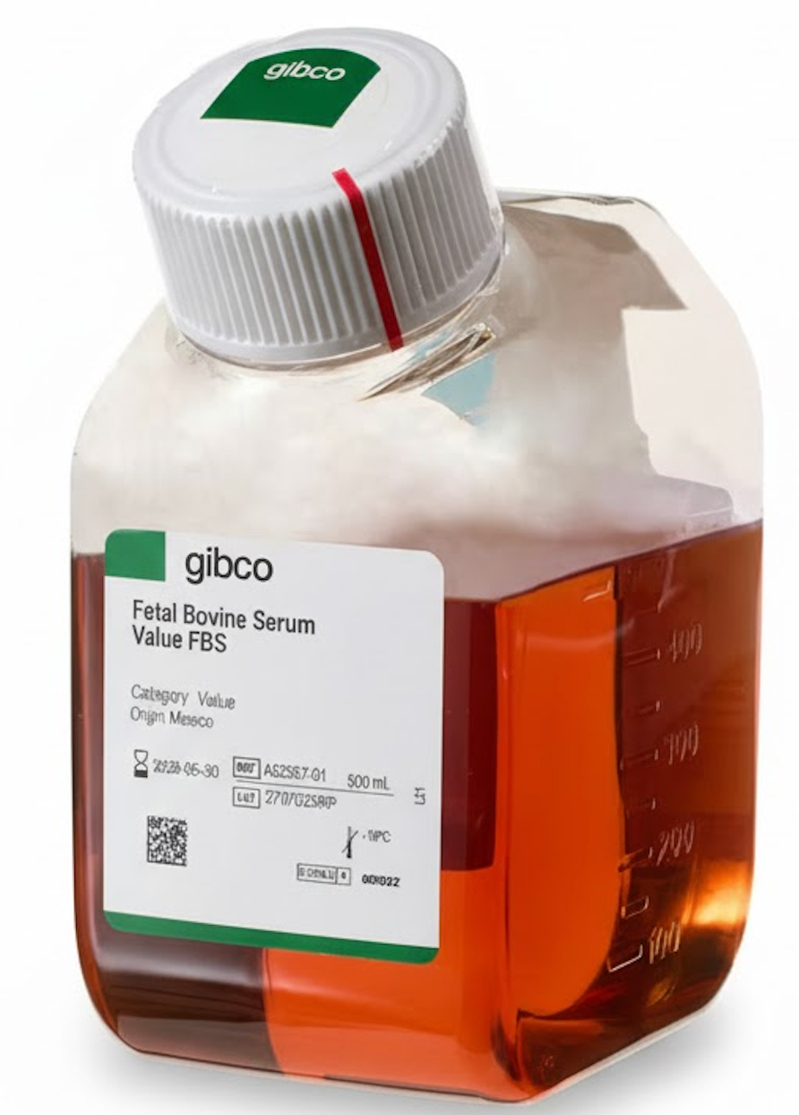 Gibco™ FBS、認定済み、加熱処理済み