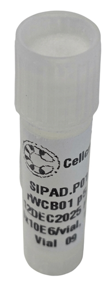 Cellcraft Spontaneously Immortalised Porcine Preadipocyte Cells