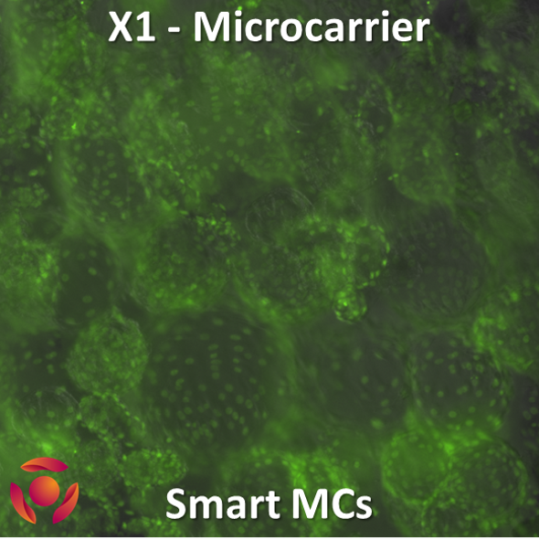 <tc>Smart MCs</tc> X1 마이크로캐리어