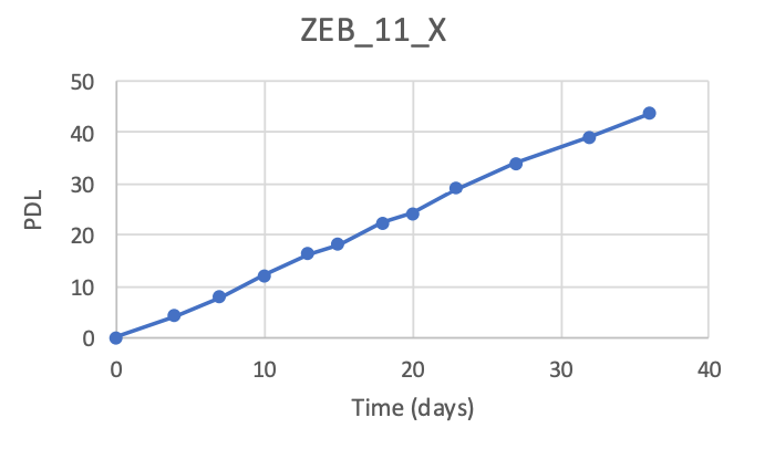 <tc>WildBio</tc> ゼブラ筋芽細胞株 – 筋肉