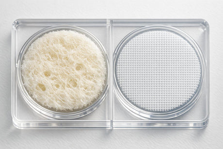 Collagen vs Synthetic Polymers: Scaffold Material Comparison