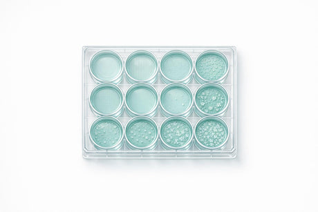 Optimising Serum-Free Media for Myoblast Cultures