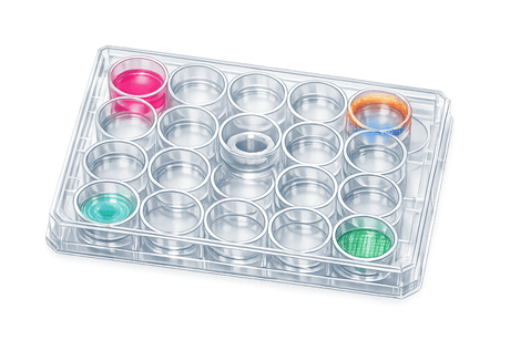 5 Methods for Long-Term Viability Testing