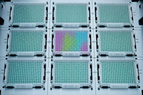 High-Throughput Screening Platforms for Cell Line Design