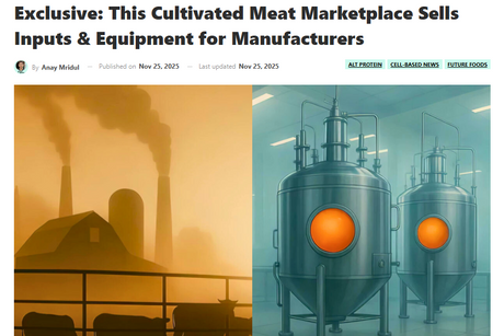 Cellbase Featured in Green Queen as Pioneering B2B Marketplace for Cultivated Meat