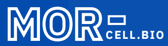MOR Cell.Bio