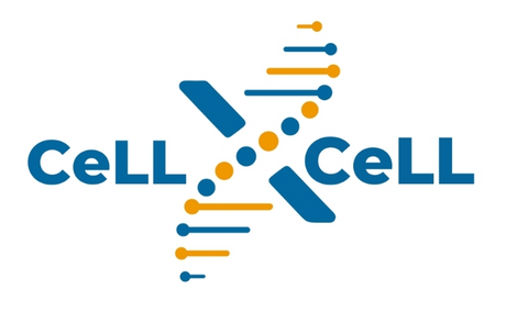CeLLXCeLL
