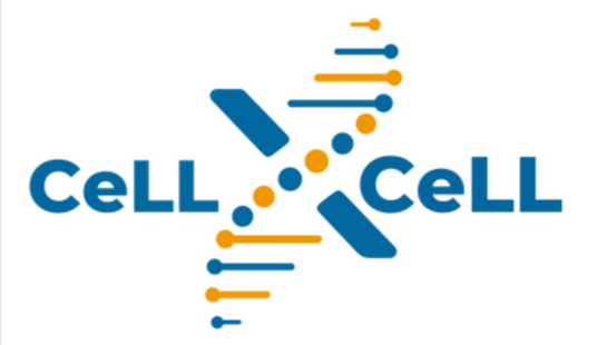 XCeLL