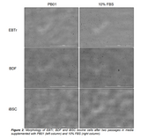 Multus Proliferum® B