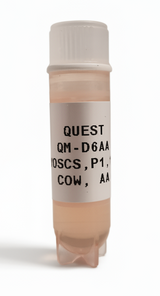 Quest Bovine Primary Cell Lines