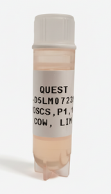 Quest Bovine Primary Cell Lines