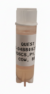 Quest Bovine Primary Cell Lines