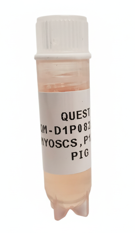 Quest Porcine Primary Cell Lines
