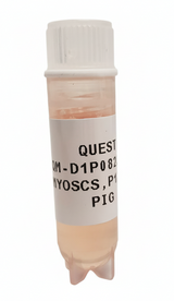 Quest Porcine Primary Cell Lines