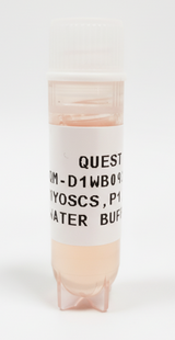 Quest Water Buffalo Primary Cell Lines