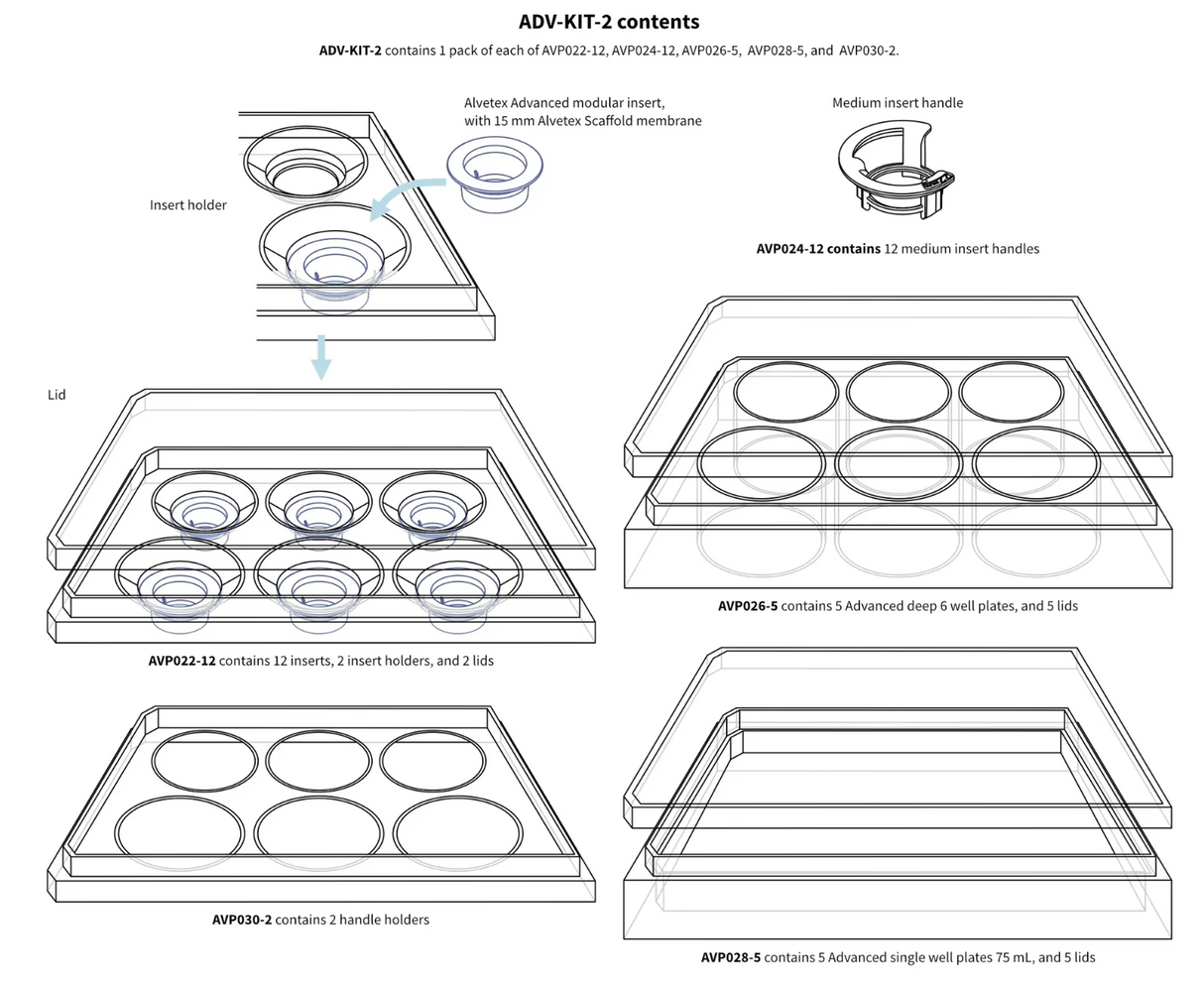 ערכת התחלה מתקדמת Alvetex® - 2