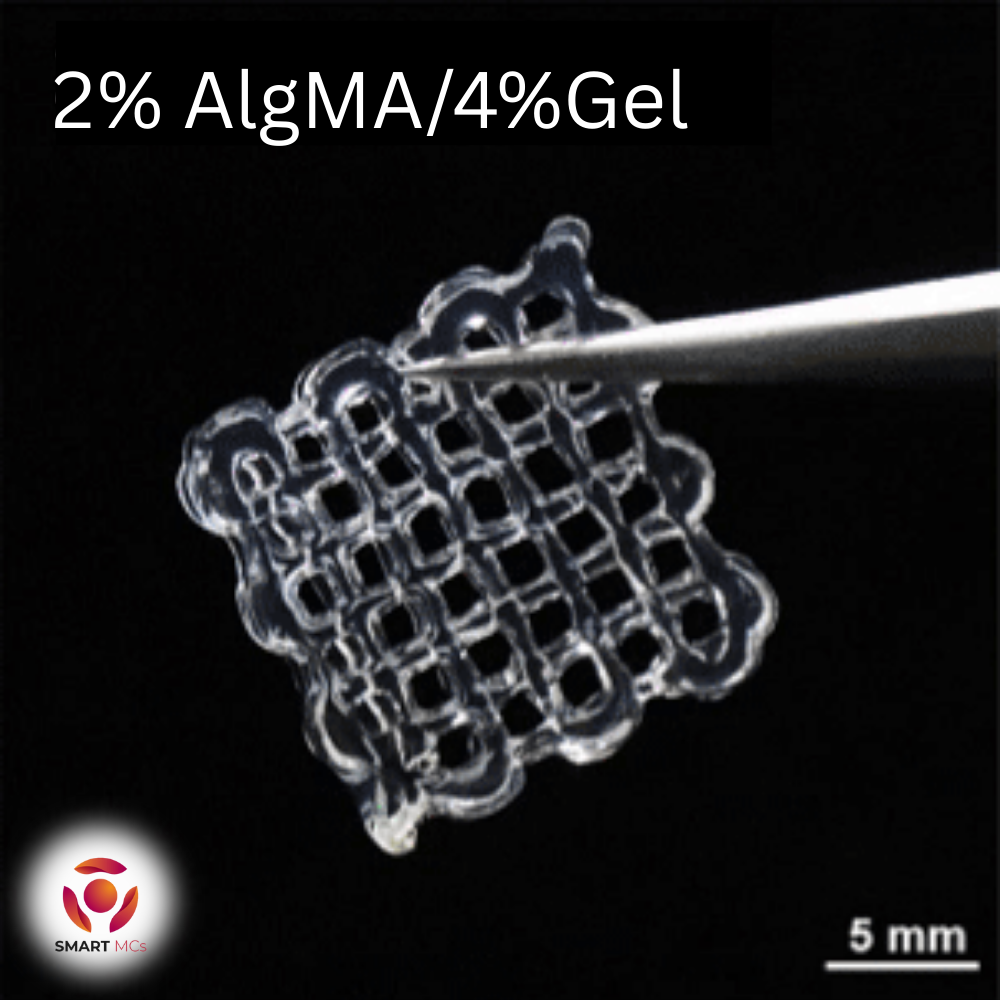Smart MCs Alginate Methacryloyl (AlgMA)