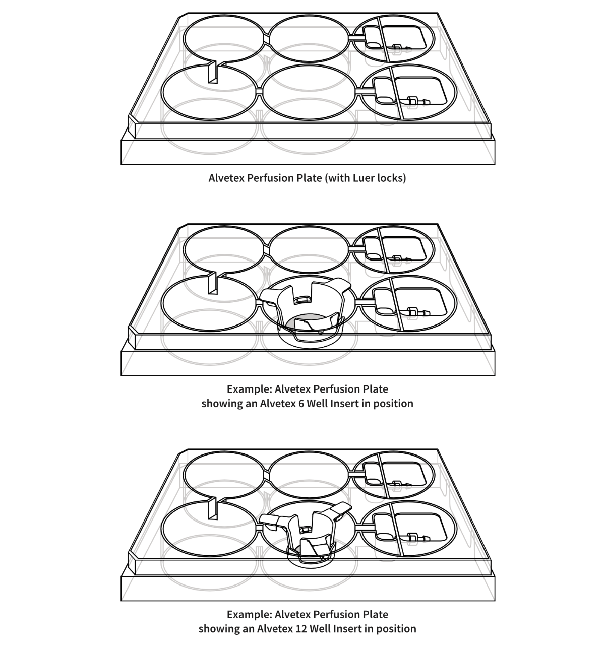 ® เพอร์ฟิวชันเพลท