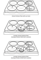 Alvetex® パーフュージョンプレートキット - 3