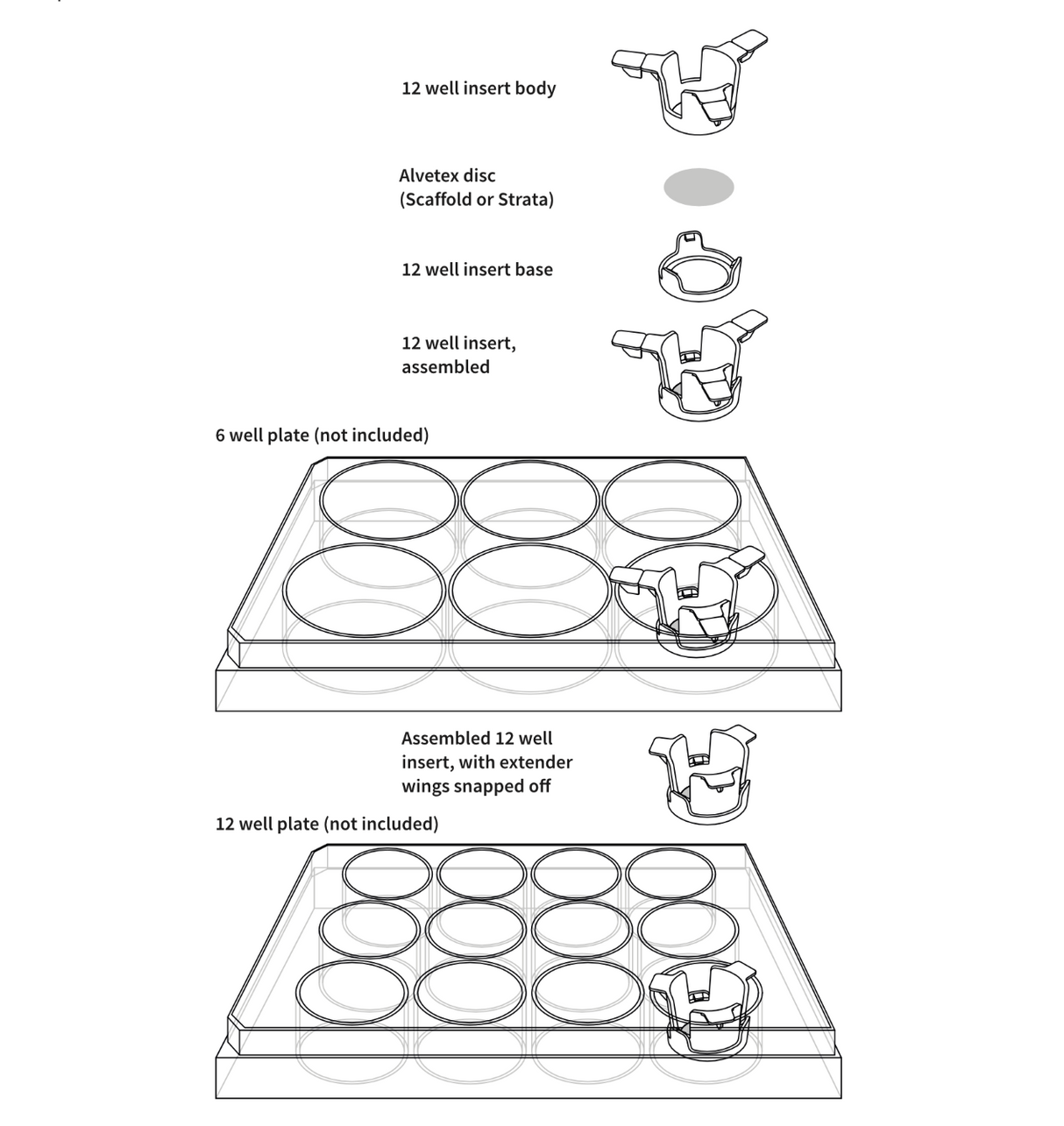 Alvetex® スキャフォールド 12ウェルインサート