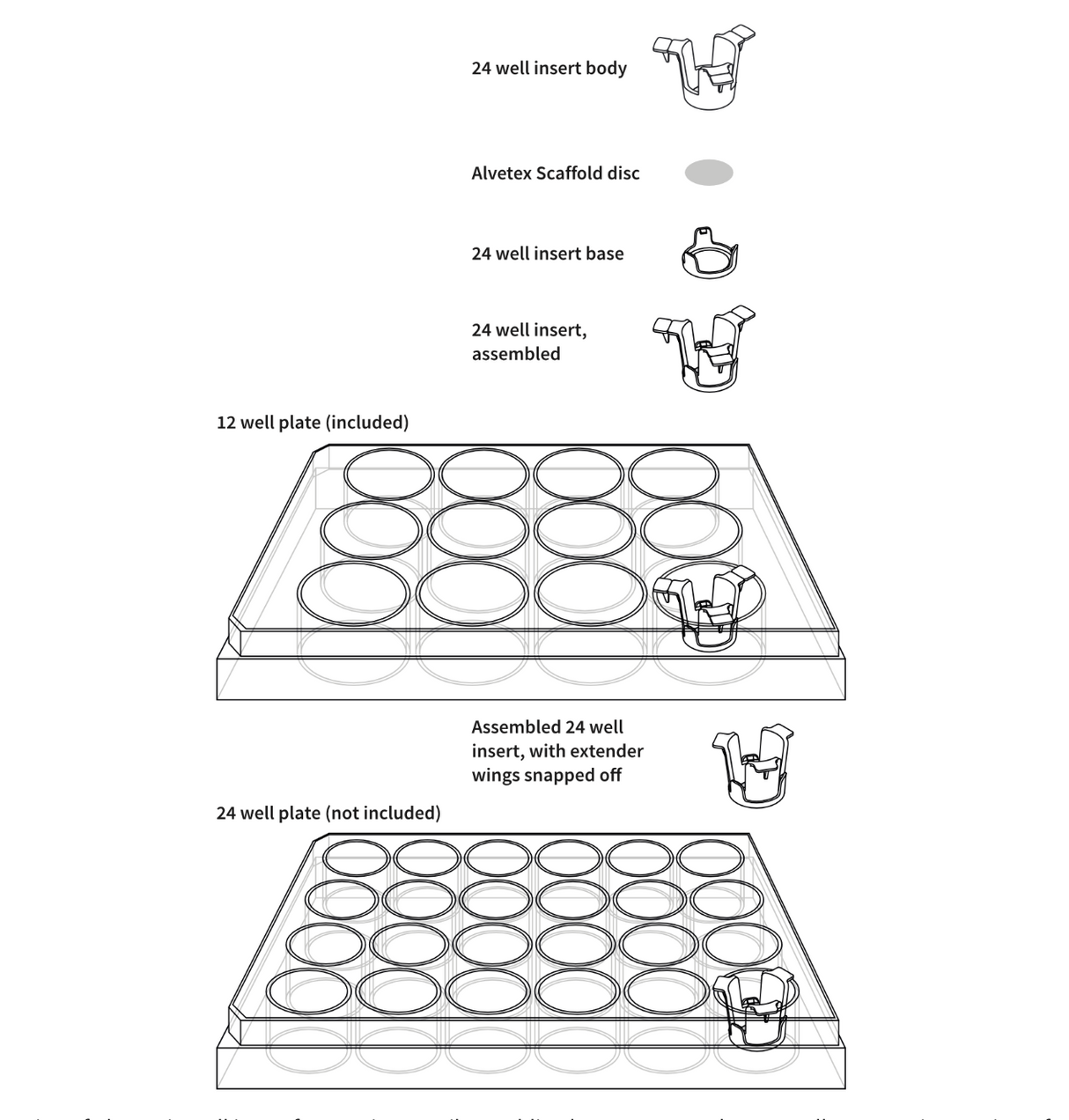 ® Scaffold 24 แผ่นแทรกบ่อ 24 หลุม